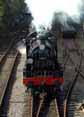 Photograph of U - 31806 U at Mid Hants Railway on 28/10/11