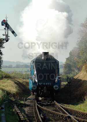 Purchase photo of 4492 DOMINION OF NEW ZEALAND (BITTERN) at Mid Hants Railway