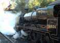 Photograph of U - 31806 U at Mid Hants Railway on 28/10/11