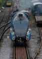 Photograph of DOMINION OF NEW ZEALAND (BITTERN) - 4492 DOMINION OF NEW ZEALAND (BITTERN) at Mid Hants Railway on 28/10/11
