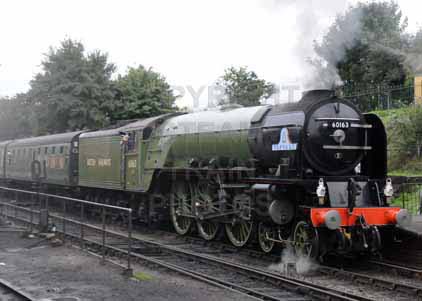 Purchase photo of 60163 TORNADO at Mid Hants Railway