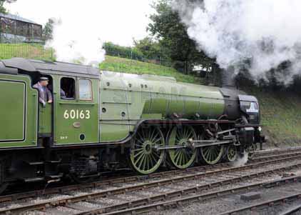 Purchase photo of 60163 TORNADO at Mid Hants Railway