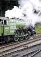 Photograph of TORNADO - 60163 TORNADO at Mid Hants Railway on 29/08/10
