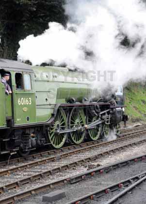 Purchase photo of 60163 TORNADO at Mid Hants Railway
