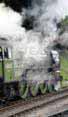 Poster ofTORNADO - 60163 TORNADO at Mid Hants Railway on 29/08/10