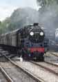 Photograph of 5MT - 73096 5MT at Mid Hants Railway on 29/08/10