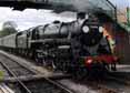 Photograph of 5MT - 73096 5MT at Mid Hants Railway on 29/08/10