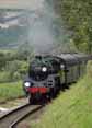 Photograph of 5MT - 73096 5MT at Mid Hants Railway on 29/08/10