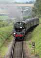 Photograph of 5MT - 73096 5MT at Mid Hants Railway on 29/08/10
