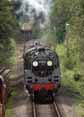 Photograph of 5MT - 73096 5MT at Mid Hants Railway on 29/08/10