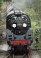 Photograph of 5MT - 73096 5MT at Mid Hants Railway on 29/08/10