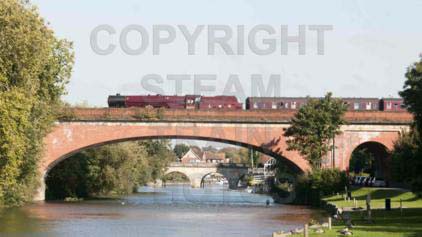 Purchase posters of 46201 PRINCESS ELIZABETH