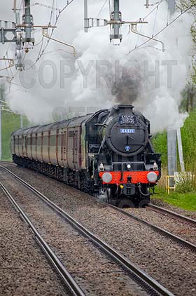 Purchase posters of 44871 Black Five