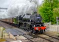 Photograph of Black Five - 44871 Black Five at Midgham on 27/04/24