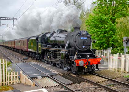 Purchase photo of 44871 Black Five at Midgham