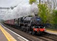 Photograph of Black Five - 44871 Black Five at Midgham on 27/04/24