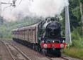 Photograph of BAHAMAS - 45596 BAHAMAS at Midgham on 14/08/21
