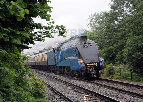 See large image
