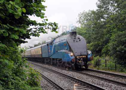 Purchase photo of 4464 BITTERN at Midgham