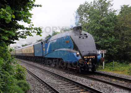 Purchase photo of 4464 BITTERN at Midgham