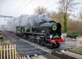 Photograph of BRAUNTON - 34046 BRAUNTON at Midgham on 01/12/23