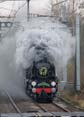 Photograph of BRAUNTON - 34046 BRAUNTON at Midgham on 01/12/23