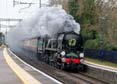 Photograph of BRAUNTON - 34046 BRAUNTON at Midgham on 01/12/23