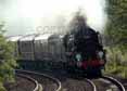 Photograph of CLAN LINE - 35028 CLAN LINE at Midgham on 13/06/12