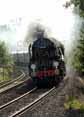 Photograph of CLAN LINE - 35028 CLAN LINE at Midgham on 13/06/12