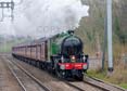 Photograph of MAYFLOWER - 61306 MAYFLOWER at Midgham on 05/04/22