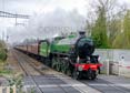 Photograph of MAYFLOWER - 61306 MAYFLOWER at Midgham on 05/04/22