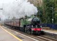 Photograph of MAYFLOWER - 61306 MAYFLOWER at Midgham on 05/04/22