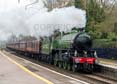 Photograph of MAYFLOWER - 61306 MAYFLOWER at Midgham on 05/04/22