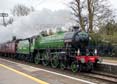 Photograph of MAYFLOWER - 61306 MAYFLOWER at Midgham on 05/04/22