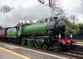 Photograph of MAYFLOWER - 61306 MAYFLOWER at Midgham on 05/04/22