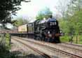 Photograph of NUNNEY CASTLE - 5029 NUNNEY CASTLE at Midgham on 24/04/11