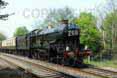 Poster ofNUNNEY CASTLE - 5029 NUNNEY CASTLE at Midgham on 24/04/11
