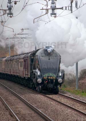 Purchase photo of 4498 SIR NIGEL GRESLEY at Midgham