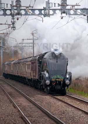 Purchase photo of 4498 SIR NIGEL GRESLEY at Midgham