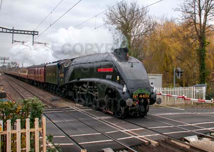 Purchase photo of 4498 SIR NIGEL GRESLEY at Midgham