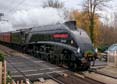 Photograph of SIR NIGEL GRESLEY - 4498 SIR NIGEL GRESLEY at Midgham on 05/12/22