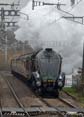 Photograph of SIR NIGEL GRESLEY - 4498 SIR NIGEL GRESLEY at Midgham on 05/12/22