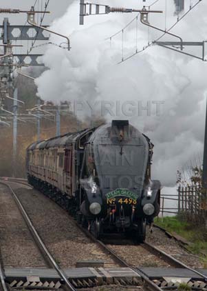 Purchase photo of 4498 SIR NIGEL GRESLEY at Midgham