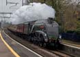 Photograph of SIR NIGEL GRESLEY - 4498 SIR NIGEL GRESLEY at Midgham on 05/12/22