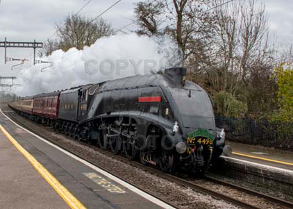 Purchase photo of 4498 SIR NIGEL GRESLEY at Midgham