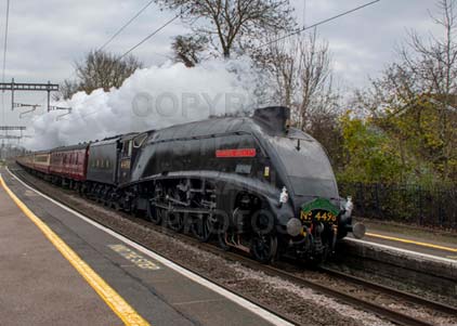 Purchase photo of 4498 SIR NIGEL GRESLEY at Midgham