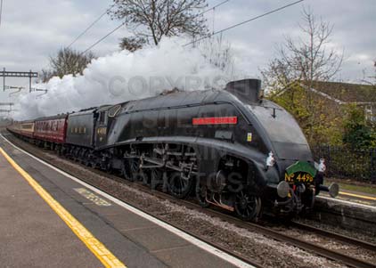 Purchase photo of 4498 SIR NIGEL GRESLEY at Midgham