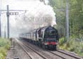 Photograph of DUCHESS OF SUTHERLAND - 46233 DUCHESS OF SUTHERLAND at Midgham on 17/08/19
