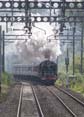 Photograph of DUCHESS OF SUTHERLAND - 46233 DUCHESS OF SUTHERLAND at Midgham on 17/08/19
