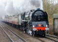 Photograph of DUKE OF GLOUCESTER - 71000 DUKE OF GLOUCESTER at Midgham on 06/12/25